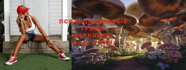 молекула духа Беломорск