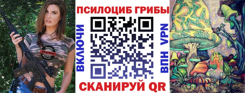 blacksprut ссылки  Мглин  Псилоцибиновые грибы Psilocybine cubensis 